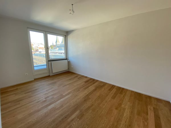 Diese Wohnung macht Sie sprachlos - 1.5 Zimmer-Attikawohnung in Luzern 9