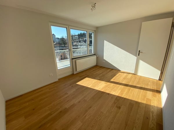 Diese Wohnung macht Sie sprachlos - 1.5 Zimmer-Attikawohnung in Luzern 6