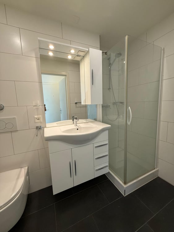 Helle 2.5-Zimmerwohnung im 7. Stock / Mietzinsaktion 4