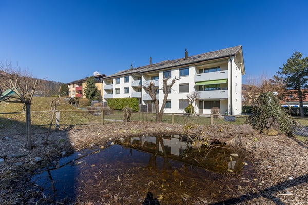 RUHIGES WOHNEN AM WALDRAND 1