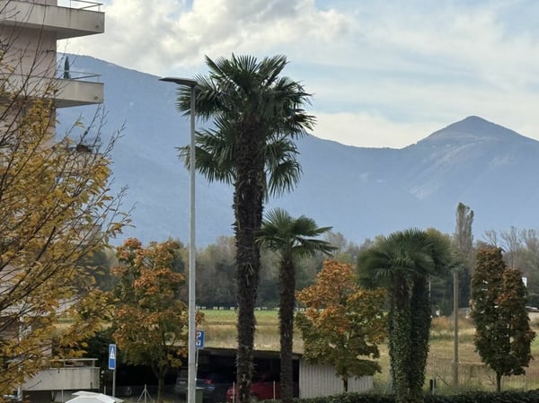 Moderne 1.5-Zimmer-Wohnung in bevorzugter Lage in Locarno 6