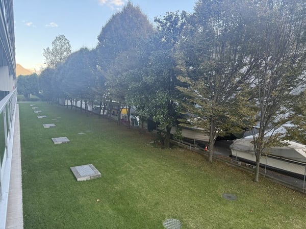 Moderne 1.5-Zimmer-Wohnung in bevorzugter Lage in Locarno 5