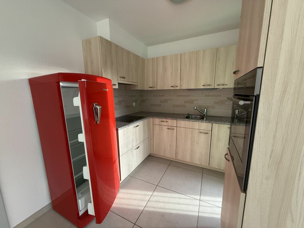 Spaziosa casa bifamiliare con giardino soleggiato - Gorduno
