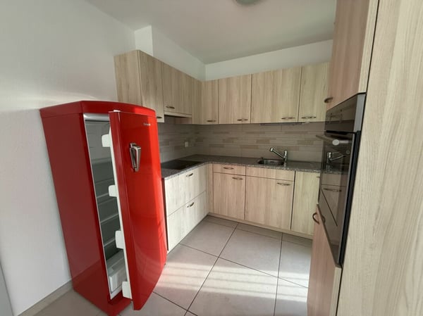 Spaziosa casa bifamiliare con giardino soleggiato - Gorduno 9