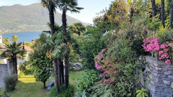 Exklusive Liegenschaft mit 8 Einheiten und atemberaubendem Blick auf den Lago Maggiore - Brissago 3