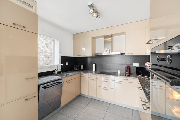 Villa contemporaine meublée avec vue sur le lac 5