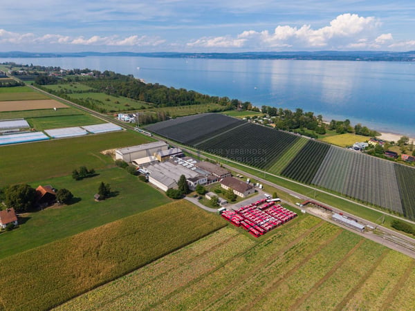 Ideal für Padel, Gym & Kletterhalle! 1