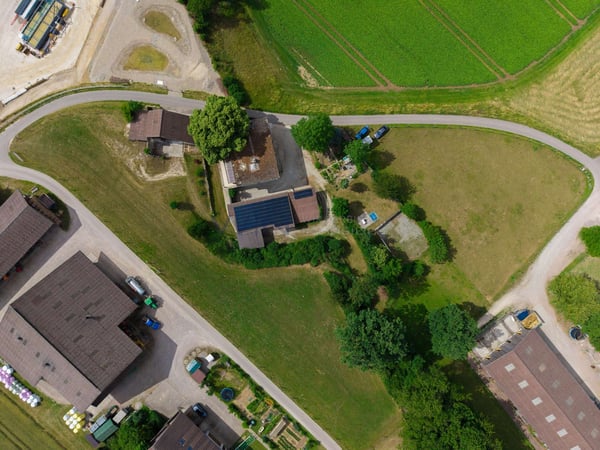 Greenfield 4 Mensch und Tier 4
