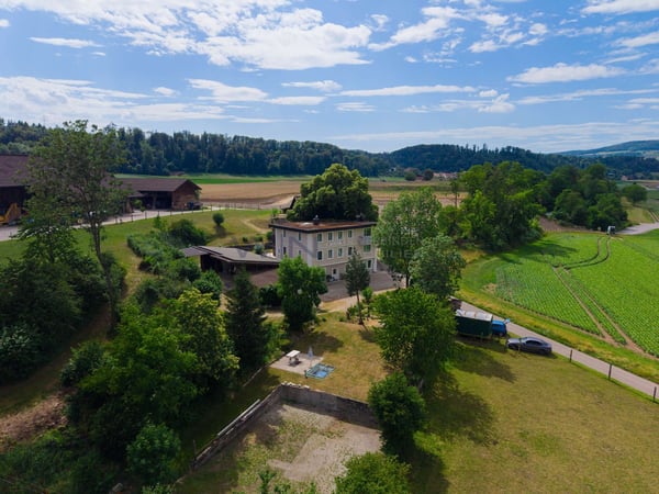 Greenfield 4 Mensch und Tier 1