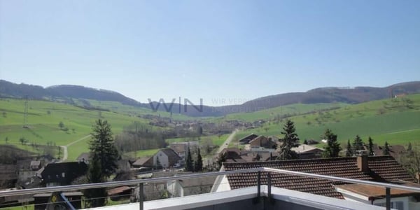Moderne Villa: 25 Min. von Baden 9