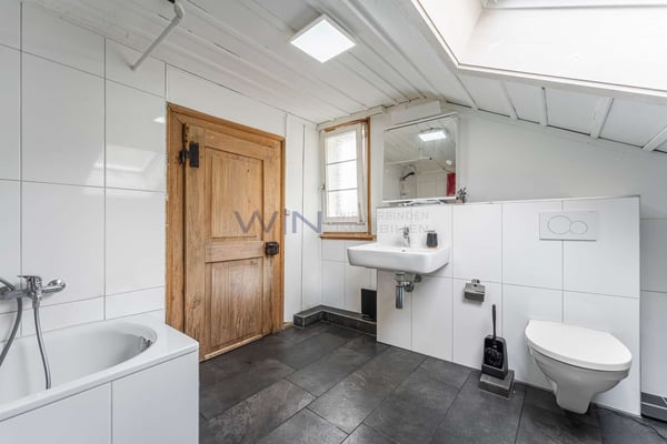 Charmante Rendite mit alpinem Potential 4