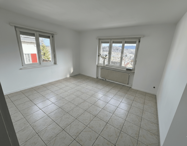 80 m² Terrasse mit Panoramablick — Penthouse-Wohnung über Olten 6