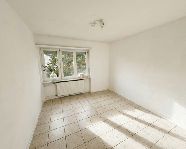 80 m² Terrasse mit Panoramablick — Penthouse-Wohnung über Olten 7