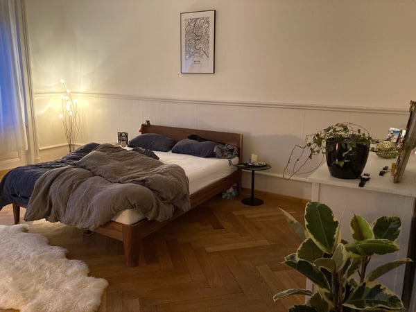 Traumhafte Altbauwohnung zentrumsnah 4