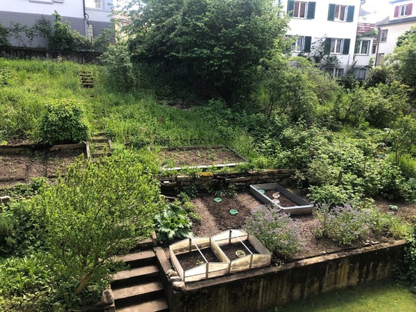 Zentrales Wohnen mit Altbaucharme 2