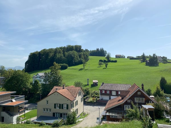 Neubau mit Säntisblick – viel Platz für Ihre Wohnträume! 3
