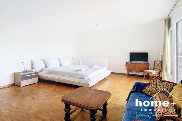 Appartement lumineux de 2.5 pièce au calme 2