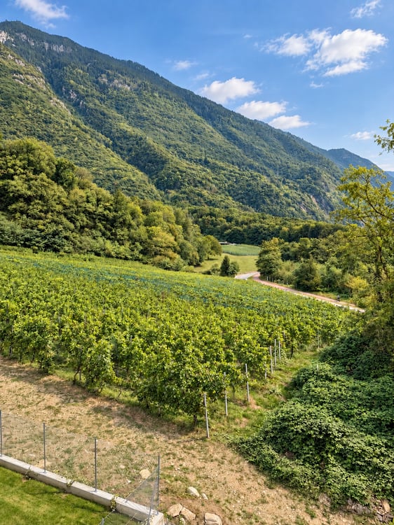 Meraviglioso Attico di 3.5 Locali con Vista Panoramica a Lumino 11