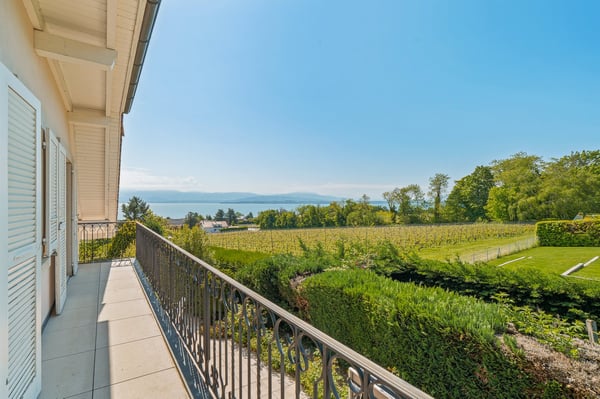 Co-exclusivité - Villa individuelle avec vue somptueuse à Dully 1