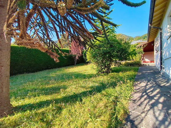 Magnifique maison individuelle de 1.5 pièces avec vue et grand jardin 20