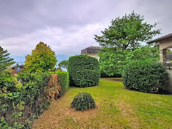 Magnifique maison individuelle de 1.5 pièces avec vue et grand jardin 3