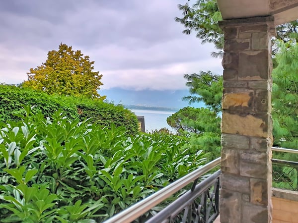 Magnifique maison individuelle de 1.5 pièces avec vue et grand jardin 15