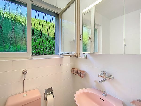 Magnifique maison individuelle de 1.5 pièces avec vue et grand jardin 11