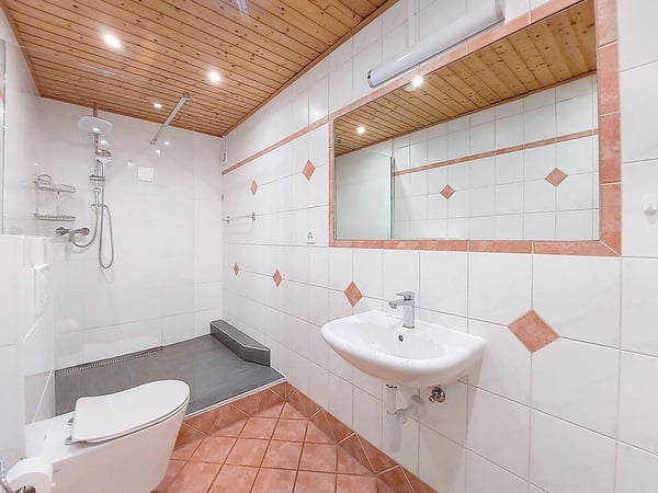 Charmante maison contigue 1.5 P avec grande terrasse et vue lac et montagnes 5