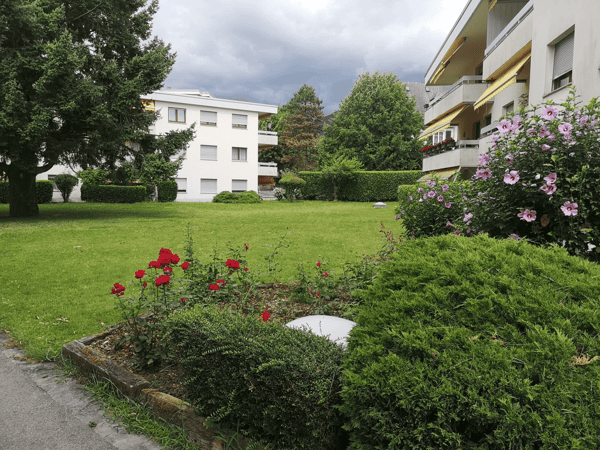 2P meublé avec balcon et dégagement sur le lac 9