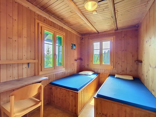 Grand chalet au coeur de la nature et proche de vevey et Montreux 10