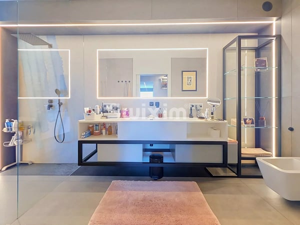 Loft en attique aux prestations uniques 8