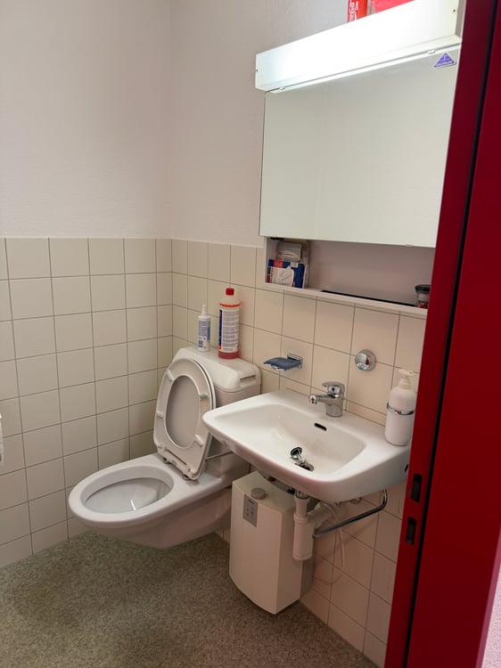 Vielseitige Gewerberäume an bevorzugter Lage in Schaffhausen zu mieten 7