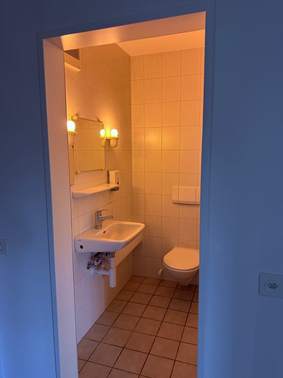 Heller Gewerbe-/Büroraum (31 m2) in Rafz (Raum-Nr. 1.4) 6