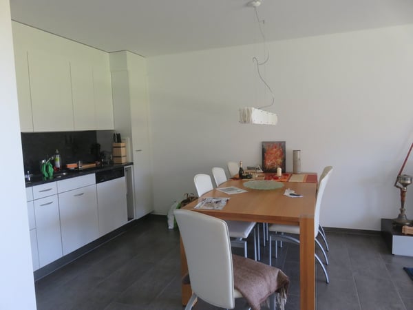 Charmante 1.5-Zi-Gartenwohnung sonnig, naturnah mit viel Privatspäre, zwischen Winterthur und Zürich 4