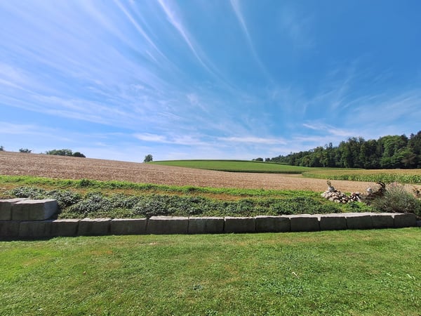 Charmante 1.5-Zi-Gartenwohnung sonnig, naturnah mit viel Privatspäre, zwischen Winterthur und Zürich 9