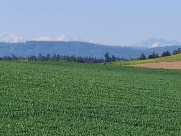 Unbeschwertes Attika-Wohnen, naturnah + verkehrsgünstig zwischen Zürich und Winterthur 10