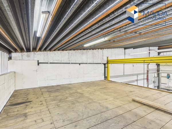 Zwei verbundene Gewerbehallen mit Krananlage und SB-Waschplatz 11