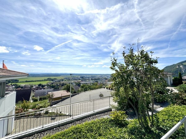 Exklusives Wohnidyll: Charmantes Bauernhaus an Südhanglage mit grossem Potenzial in Oensingen 4