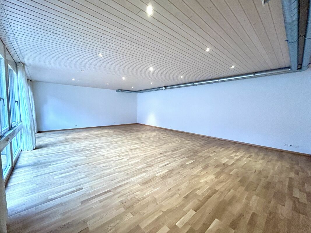 Maison d'habitation et de commerce au sous-sol avec un potentiel d'utilisation polyvalent copie