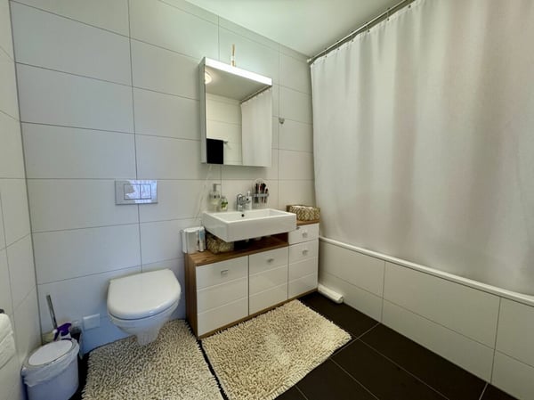 Traumhafte 1.5-Zimmer-Wohnung in Egerkingen 8