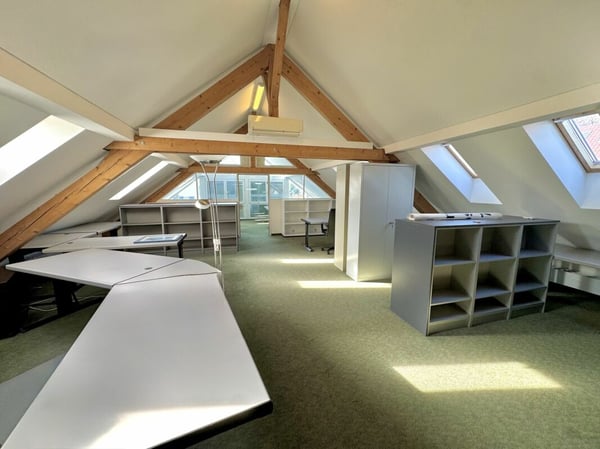 Attraktives Wohn- und Geschäftshaus an zentraler Lage in Augst 8