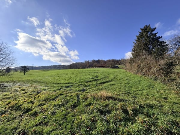 Modernes Mehrfamilienhaus mit 360 m² Wohnfläche und unverbaubarer Weitsicht 6