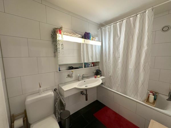 Ihr Platz zum Aufblühen! 1.5-Zimmer Wohnung mit Cheminée & Spielplatz 8