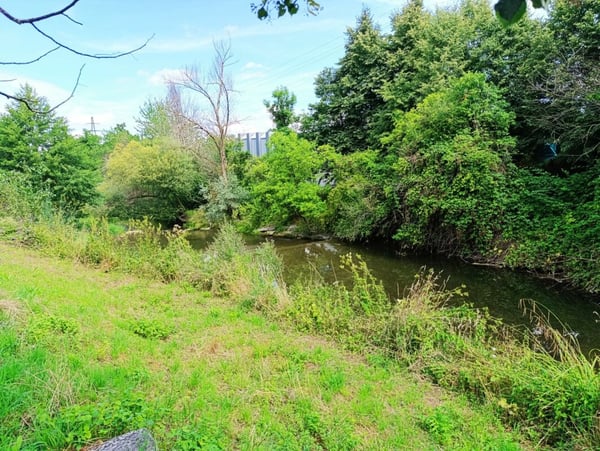 Ihr Platz zum Aufblühen! 1.5-Zimmer Wohnung mit Cheminée & Spielplatz 15