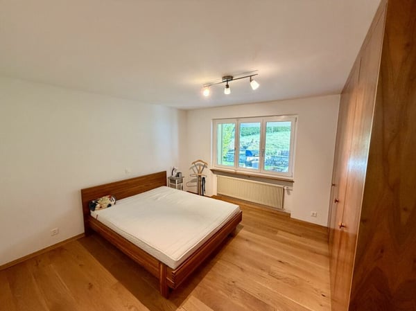 Wohnen im Grünen: Charmantes 1.5 ZImmer Einfamilienhaus mit grossem Grundstück 11