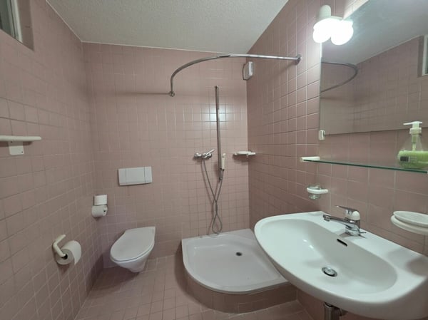 Ihr neues Familienglück! Grosszügiges 1 Zimmer Doppeleinfamilienhaus in Rudolfstetten 15