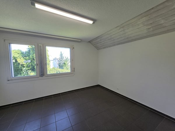 Ihr neues Familienglück! Grosszügiges 1 Zimmer Doppeleinfamilienhaus in Rudolfstetten 11