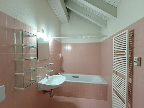 Ihr neues Familienglück! Grosszügiges 1 Zimmer Doppeleinfamilienhaus in Rudolfstetten 14