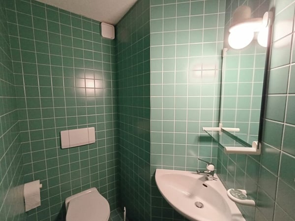 Ihr neues Familienglück! Grosszügiges 1 Zimmer Doppeleinfamilienhaus in Rudolfstetten 16