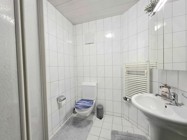 Wohnen mit Aussicht! 1.5 Zimmer Dachwohnung in Möhlin 12